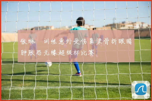 张琳芃训练意外受伤鼻梁骨折眼睛肿胀恐无缘超级杯比赛