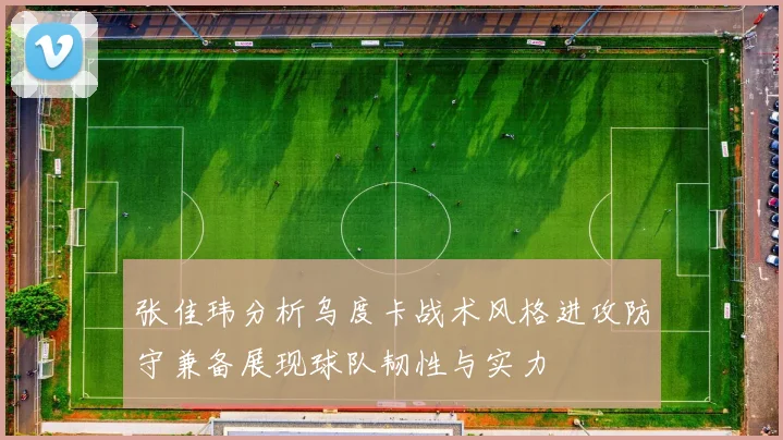 张佳玮分析乌度卡战术风格进攻防守兼备展现球队韧性与实力
