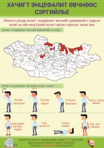 Хачигт хазуулсны дараа ямар шинж тэмдэг илрэх вэ? - Татаадаг
